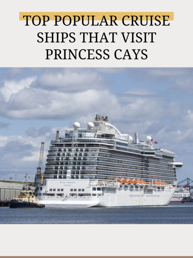 Top Popular Cruise Ships